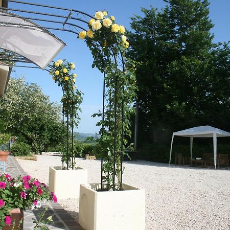 B&B La Fenice Montegridolfo Exteriör bild